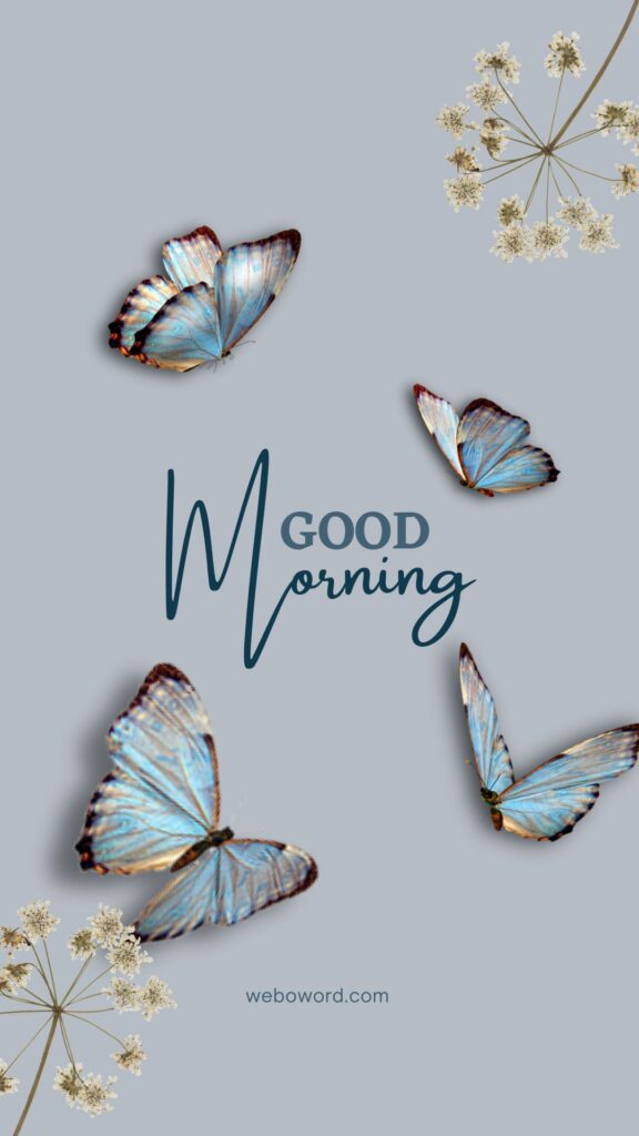 image of a simple good morning message for boss lady with grey background and blue golden butterflies.