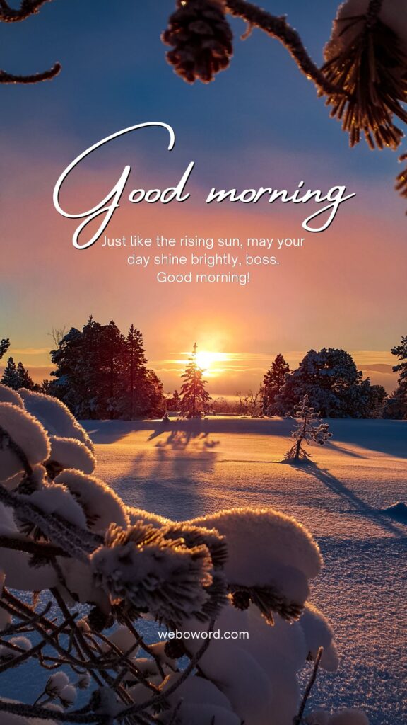 Heart Touching Good Morning Message for Boss "Just like the rising sun, may your day shine brightly, boss."